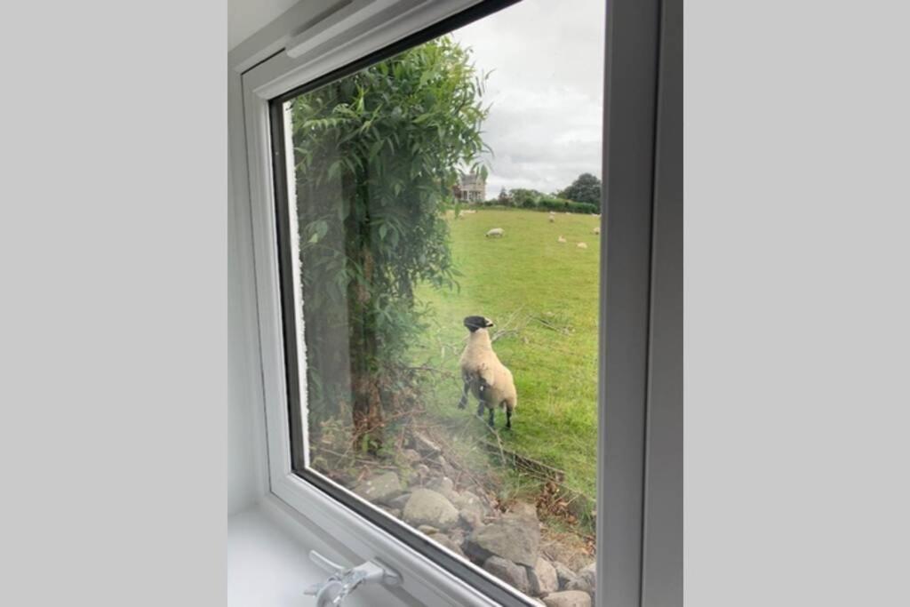 Tomax Garden Cabin Free Parking Inverness Buitenkant foto